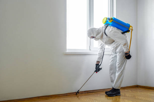 Best Wildlife Control Services  in Edwards Af, CA