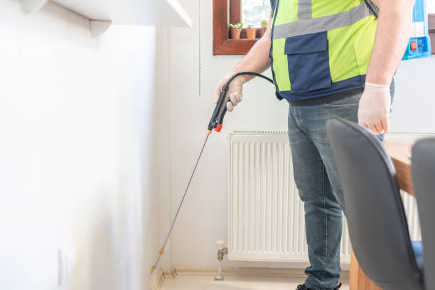 Best Pest Control Near Me  in Edwards Af, CA