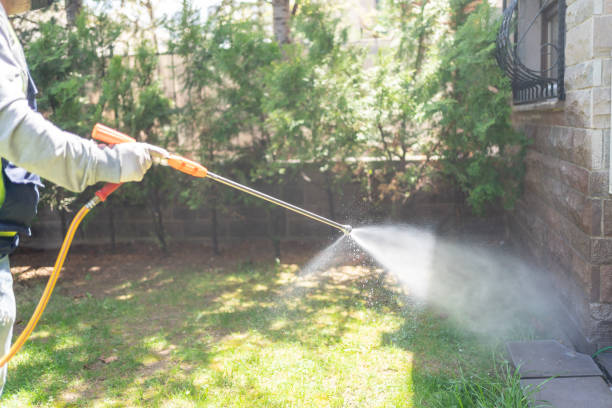 Best Exterminator Services  in Edwards Af, CA