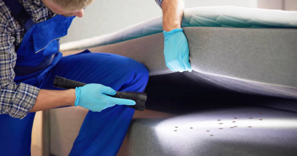 Flea Control Services in Edwards Af, CA